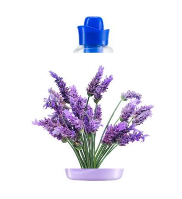 Lavender Bloom Fragrance Oil — Oasis Oils