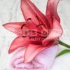 moonlight lily fragrance oil product